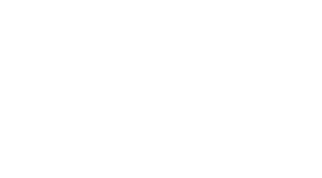 logo PROTEIN BALLS